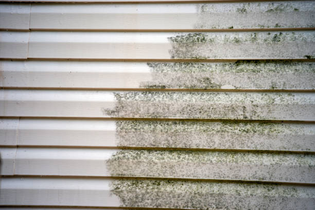 Best Property Management Cleanouts  in Flora, IL