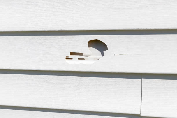 Best Hoarding Cleanup  in Flora, IL
